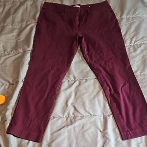 LOFT Women's Burgundy Chinos